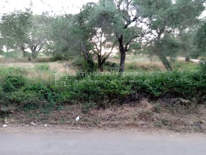 Building Plot in Pareli, Corfu — Photo 6 of 11