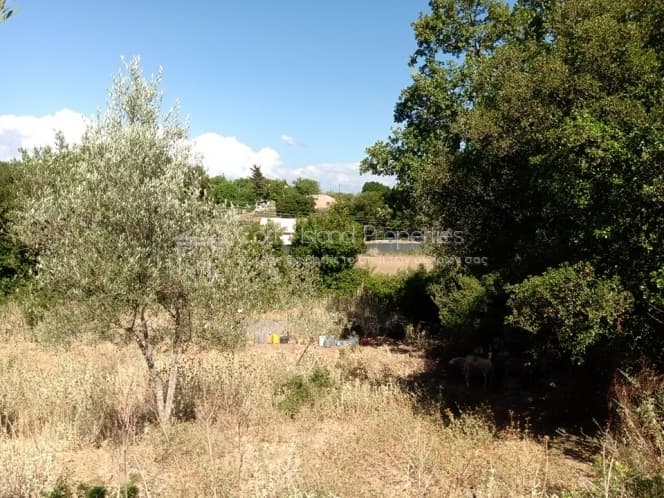 Building Plot in Kassiopi, Corfu — Photo 12 of 17