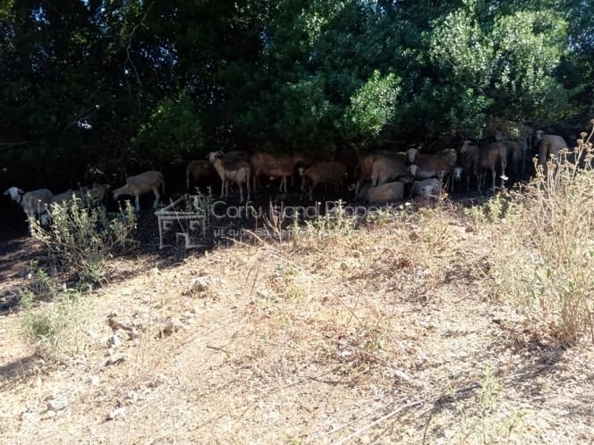 Building Plot in Kassiopi, Corfu — Photo 10 of 17
