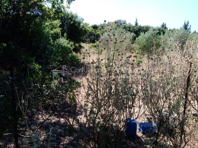 Building Plot in Kassiopi, Corfu — Photo 6 of 17
