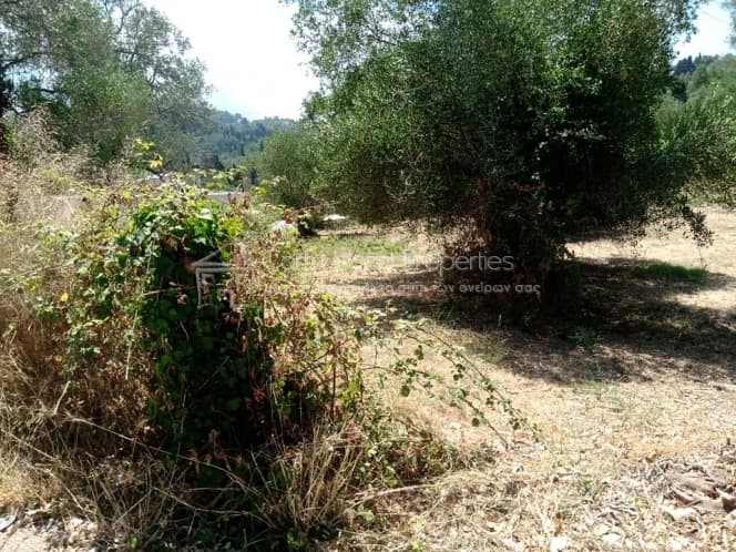 Building Plot in Pareli, Corfu — Photo 9 of 14