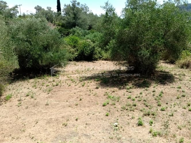 Building Plot in Pareli, Corfu — Photo 3 of 14