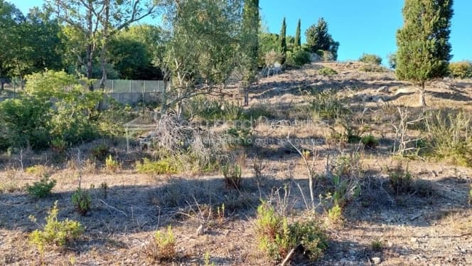 Building Plot in Achilleio, Corfu — Photo 2 of 30