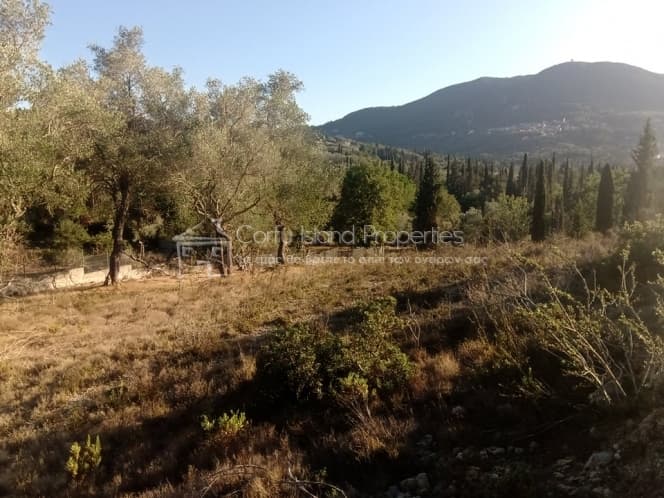 Building Plot in Achilleio, Corfu — Photo 14 of 30