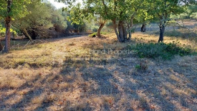 Building Plot in Achilleio, Corfu — Photo 12 of 30
