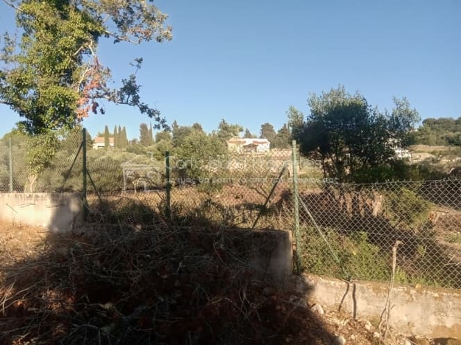 Building Plot in Achilleio, Corfu — Photo 4 of 30