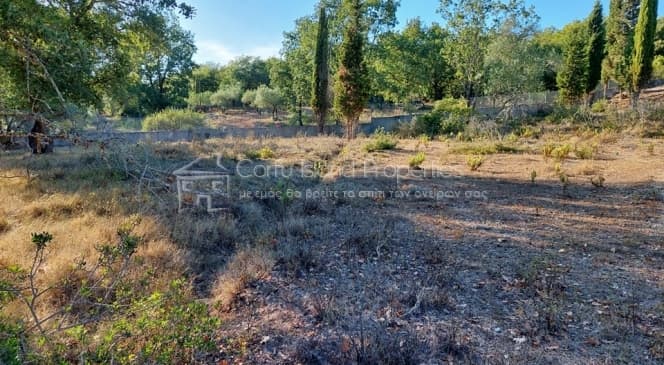 Building Plot in Achilleio, Corfu — Photo 13 of 30