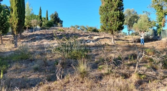 Building Plot in Achilleio, Corfu — Photo 1 of 30