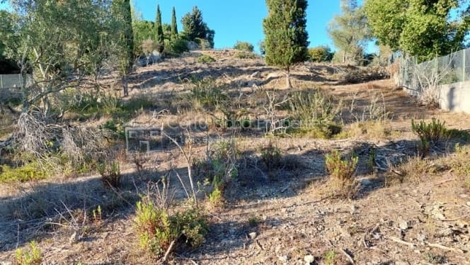 Building Plot in Achilleio, Corfu — Photo 3 of 30