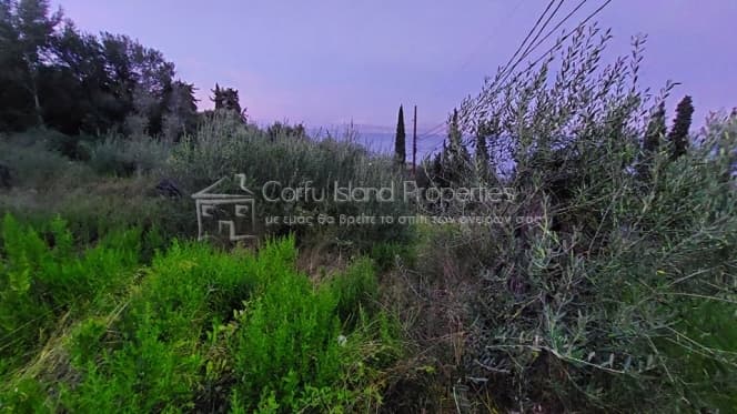 Building Plot in Achilleio, Corfu — Photo 17 of 23
