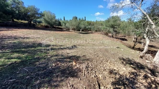Building Plot in Pareli, Corfu — Photo 6 of 22