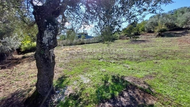 Building Plot in Pareli, Corfu — Photo 5 of 22