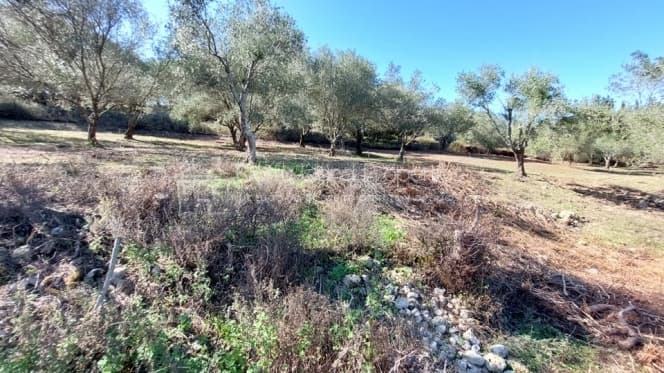 Building Plot in Pareli, Corfu — Photo 21 of 22
