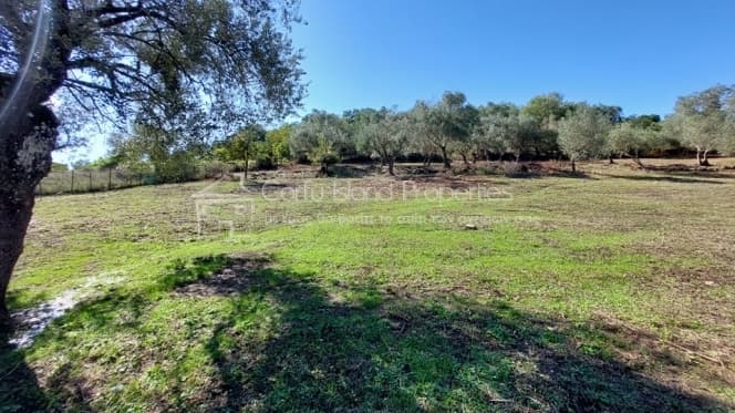 Building Plot in Pareli, Corfu — Photo 4 of 22