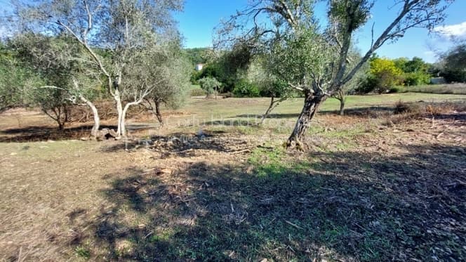 Building Plot in Pareli, Corfu — Photo 8 of 22