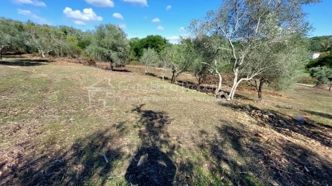Building Plot in Pareli, Corfu — Photo 12 of 22