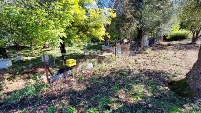 Building Plot in Pareli, Corfu — Photo 7 of 22