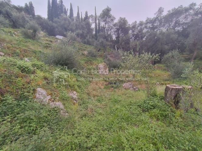 Building Plot in Achilleio, Corfu — Photo 8 of 9