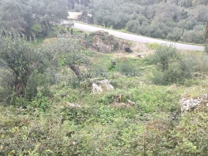 Building Plot in Achilleio, Corfu — Photo 3 of 9