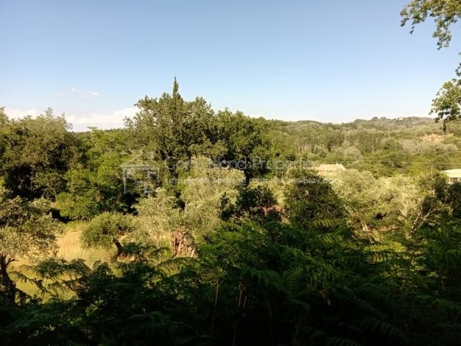 Building Plot in Pareli, Corfu — Photo 10 of 12