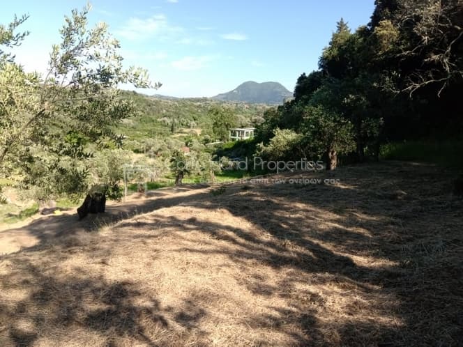 Building Plot in Pareli, Corfu — Photo 1 of 12