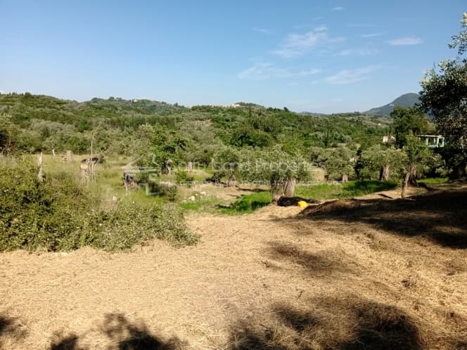 Building Plot in Pareli, Corfu — Photo 4 of 12