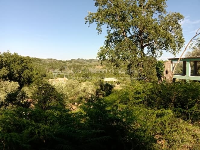Building Plot in Pareli, Corfu — Photo 9 of 12