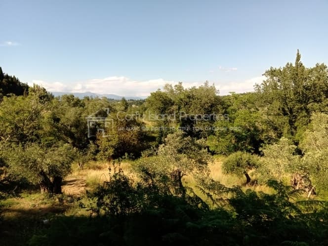 Building Plot in Pareli, Corfu — Photo 12 of 12