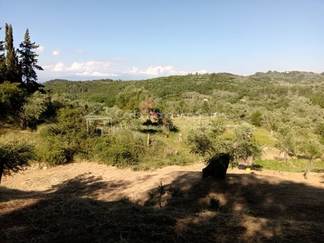 Building Plot in Pareli, Corfu — Photo 6 of 12
