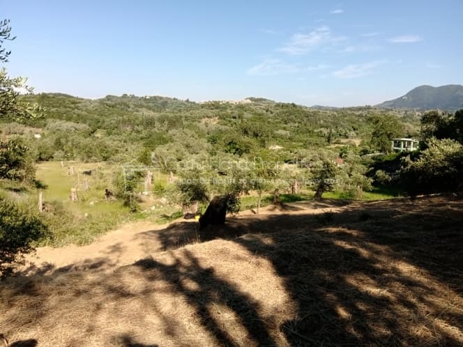 Building Plot in Pareli, Corfu — Photo 3 of 12
