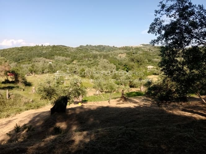 Building Plot in Pareli, Corfu — Photo 5 of 12