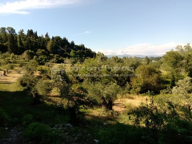 Building Plot in Pareli, Corfu — Photo 7 of 12