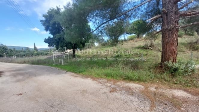 Building Plot in Faiakes, Corfu — Photo 8 of 17