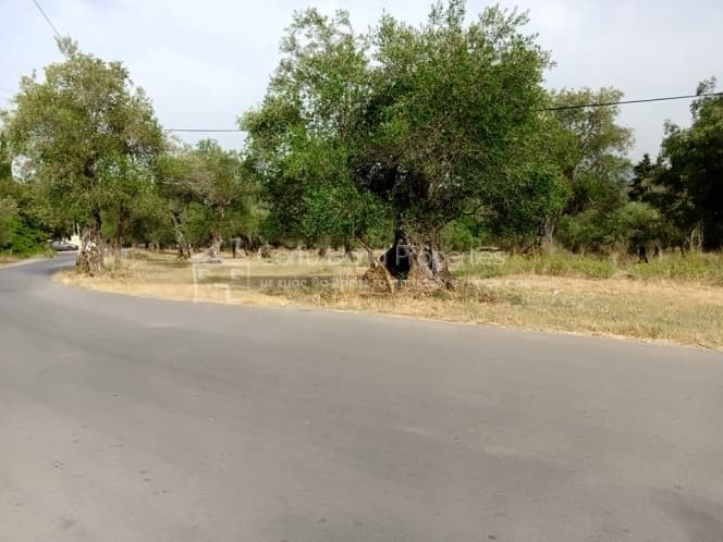 Building Plot in Pareli, Corfu — Photo 7 of 14