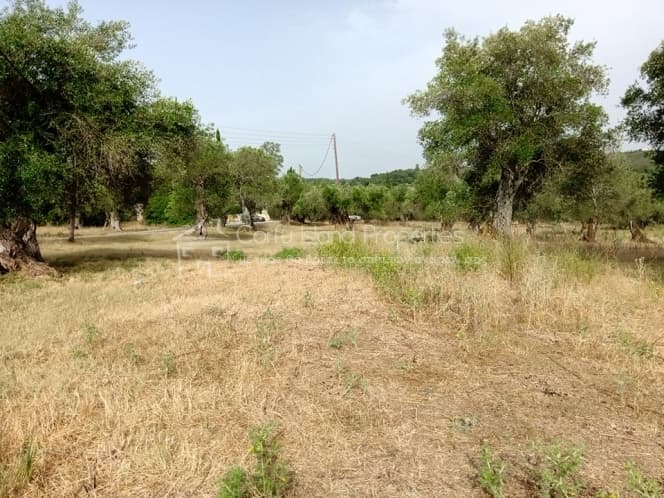 Building Plot in Pareli, Corfu — Photo 1 of 14