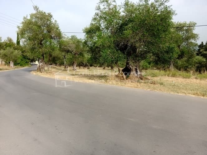 Building Plot in Pareli, Corfu — Photo 10 of 14