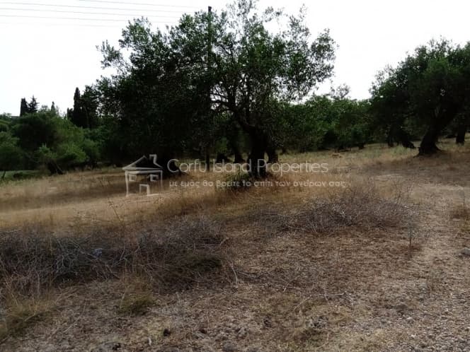Building Plot in Pareli, Corfu — Photo 5 of 14