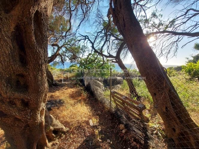 Building Plot in Melitieoi, Corfu — Photo 5 of 9