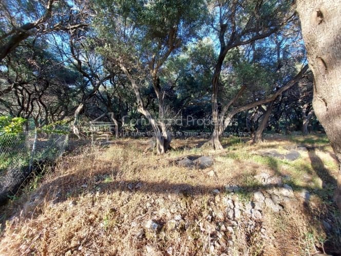 Building Plot in Melitieoi, Corfu — Photo 8 of 9