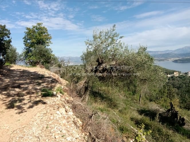 Building Plot in Kassiopi, Corfu — Photo 7 of 9