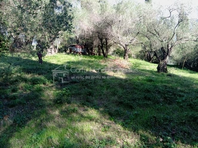 Building Plot in Kassiopi, Corfu — Photo 12 of 16