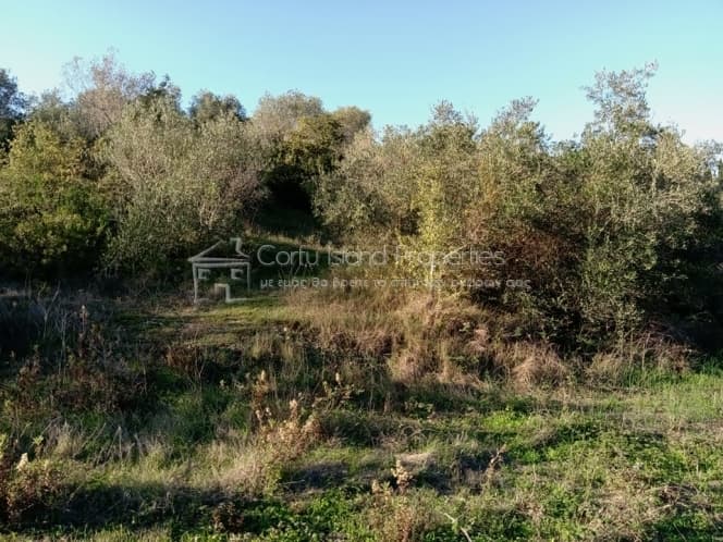 Building Plot in Kassiopi, Corfu — Photo 5 of 10