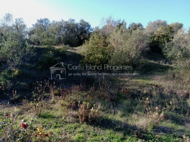 Building Plot in Kassiopi, Corfu — Photo 4 of 10