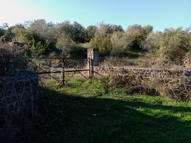 Building Plot in Kassiopi, Corfu — Photo 3 of 10