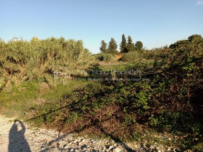 Building Plot in Achilleio, Corfu — Photo 6 of 12