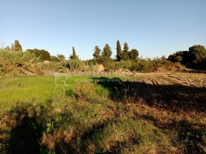 Building Plot in Achilleio, Corfu — Photo 4 of 12