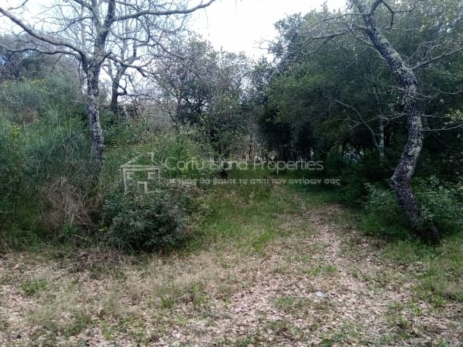 Building Plot in Achilleio, Corfu — Photo 16 of 30