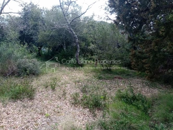 Building Plot in Achilleio, Corfu — Photo 15 of 30