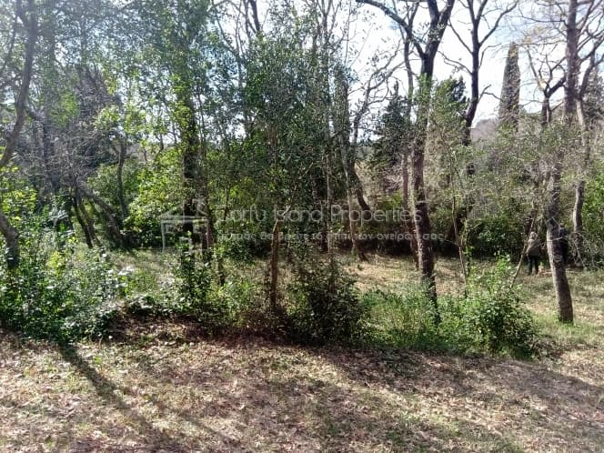 Building Plot in Achilleio, Corfu — Photo 22 of 30
