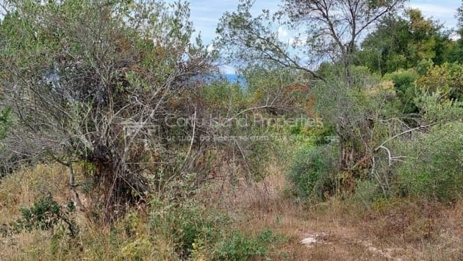 Building Plot in Melitieoi, Corfu — Photo 21 of 24